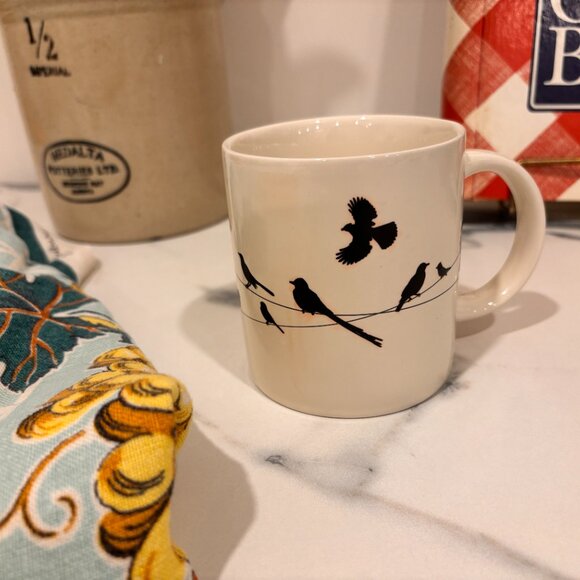 Birds on a Wire Heat Sensitive Coffee Mug By The Unemployed Philosophers Guild - Picture 6 of 8